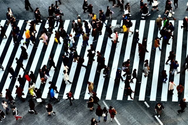 ���f������n��l�X