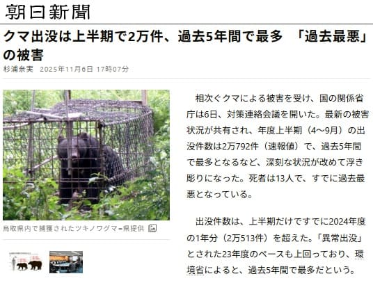 2025�N11��6�� �����V���ւ̃����N�摜�ł��B