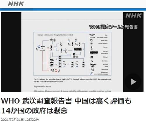 2021N331 NHK NEWS WEB̃N摜łB