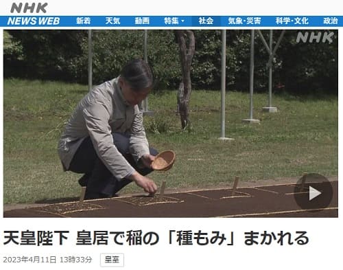 2023年4月11日 NHK NEWS WEBへのリンク画像です。